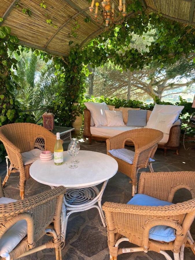 B&B Villa Il Poggetto Venturina Terme Kültér fotó