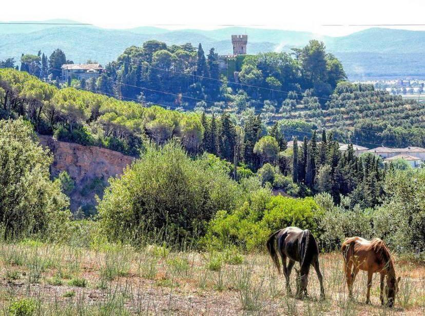 B&B Villa Il Poggetto Venturina Terme Kültér fotó