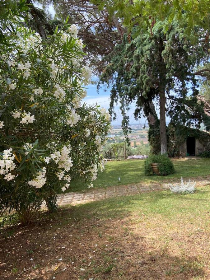B&B Villa Il Poggetto Venturina Terme Kültér fotó