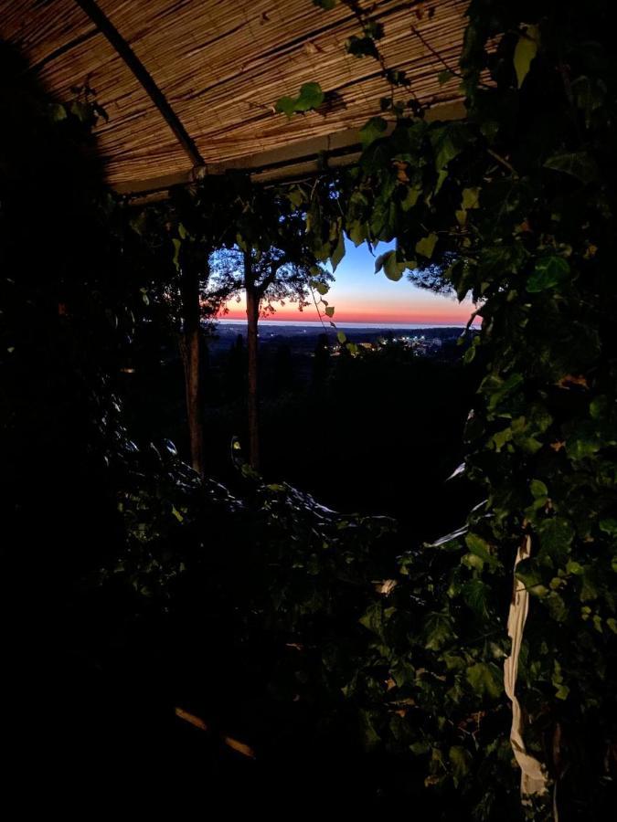 B&B Villa Il Poggetto Venturina Terme Kültér fotó