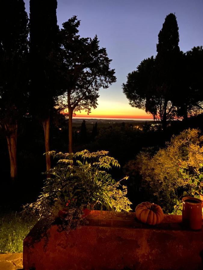 B&B Villa Il Poggetto Venturina Terme Kültér fotó