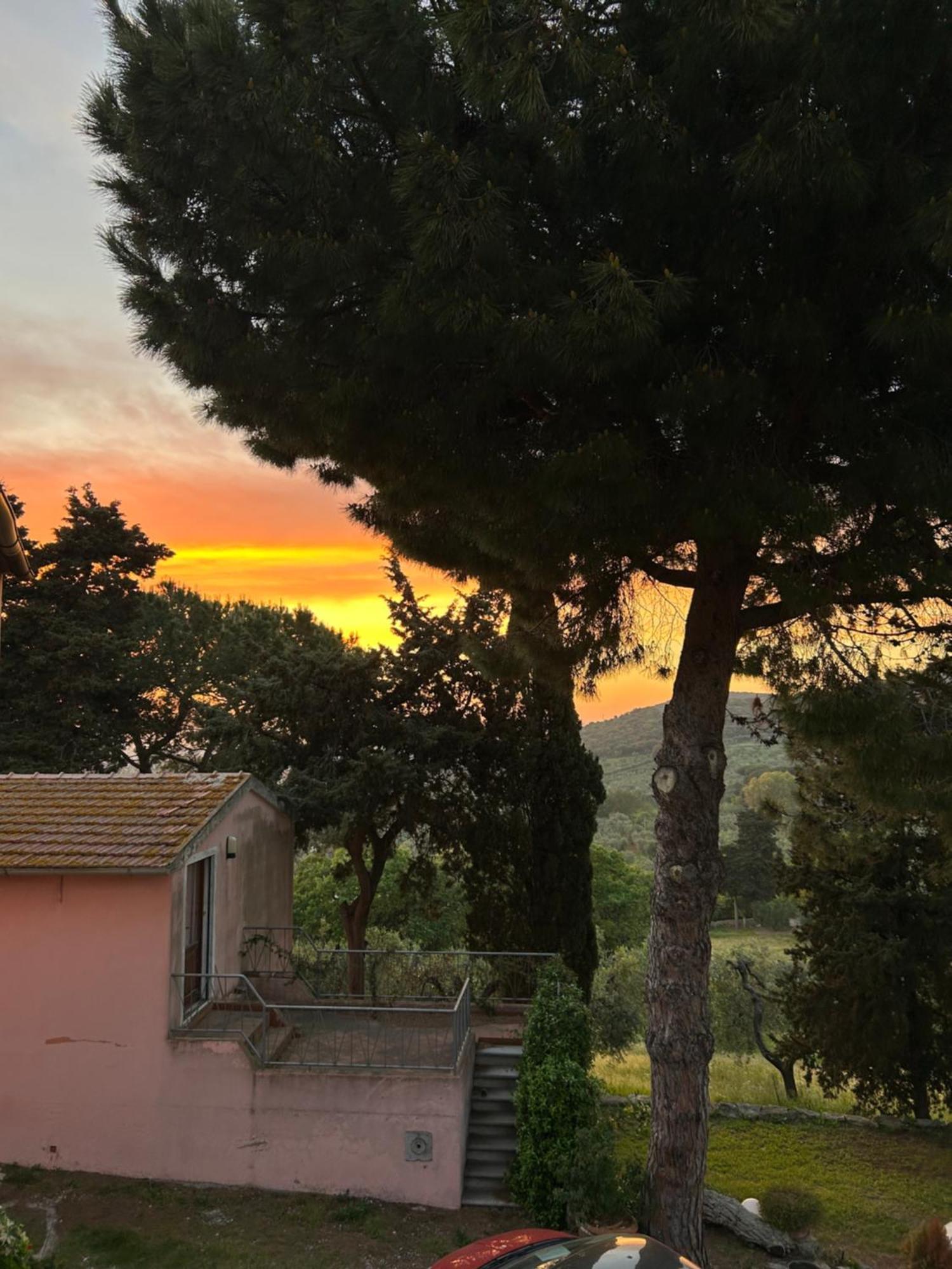 B&B Villa Il Poggetto Venturina Terme Kültér fotó