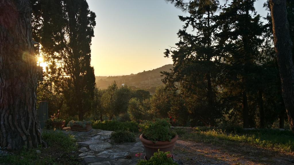 B&B Villa Il Poggetto Venturina Terme Kültér fotó